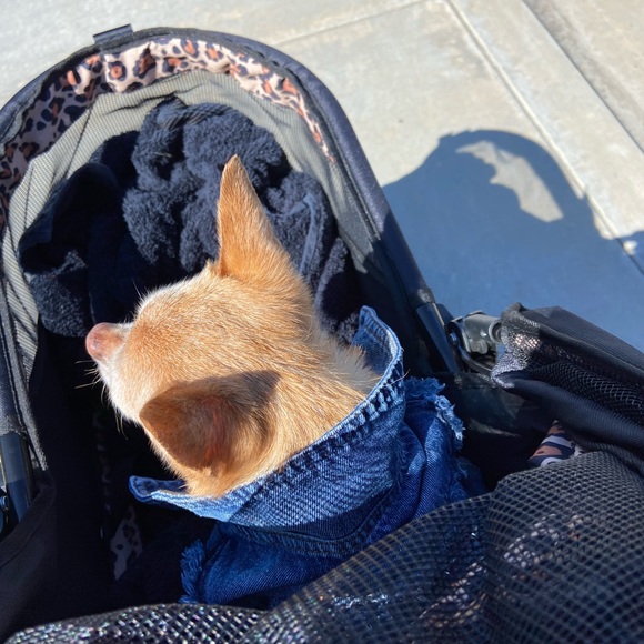 Meet your shopper n posher - Picture 11 of 16